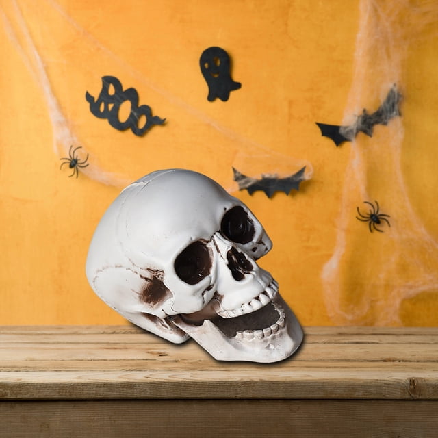 EGNMCR Halloween Decorations, Halloween Skeletons Plastic Realistic Fake Simulation Human Skull HeadBone Model Halloween Prop Realistic Mini Skeleton Spooky Halloween Decoration A Skeleton
