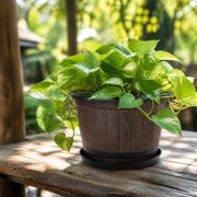 Kmonabie Wood Effect Plastic Flower Pot with Base Tray, Brown Planter for Indoor Outdoor Gardening, Lightweight Potted Plants Container with Drainage for Flowers Home Decor, Brown