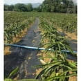 thumbnail image 2 of Black Barrier Landscape Fabric s Control Gardening Friendly 1.5x3meter, 2 of 8