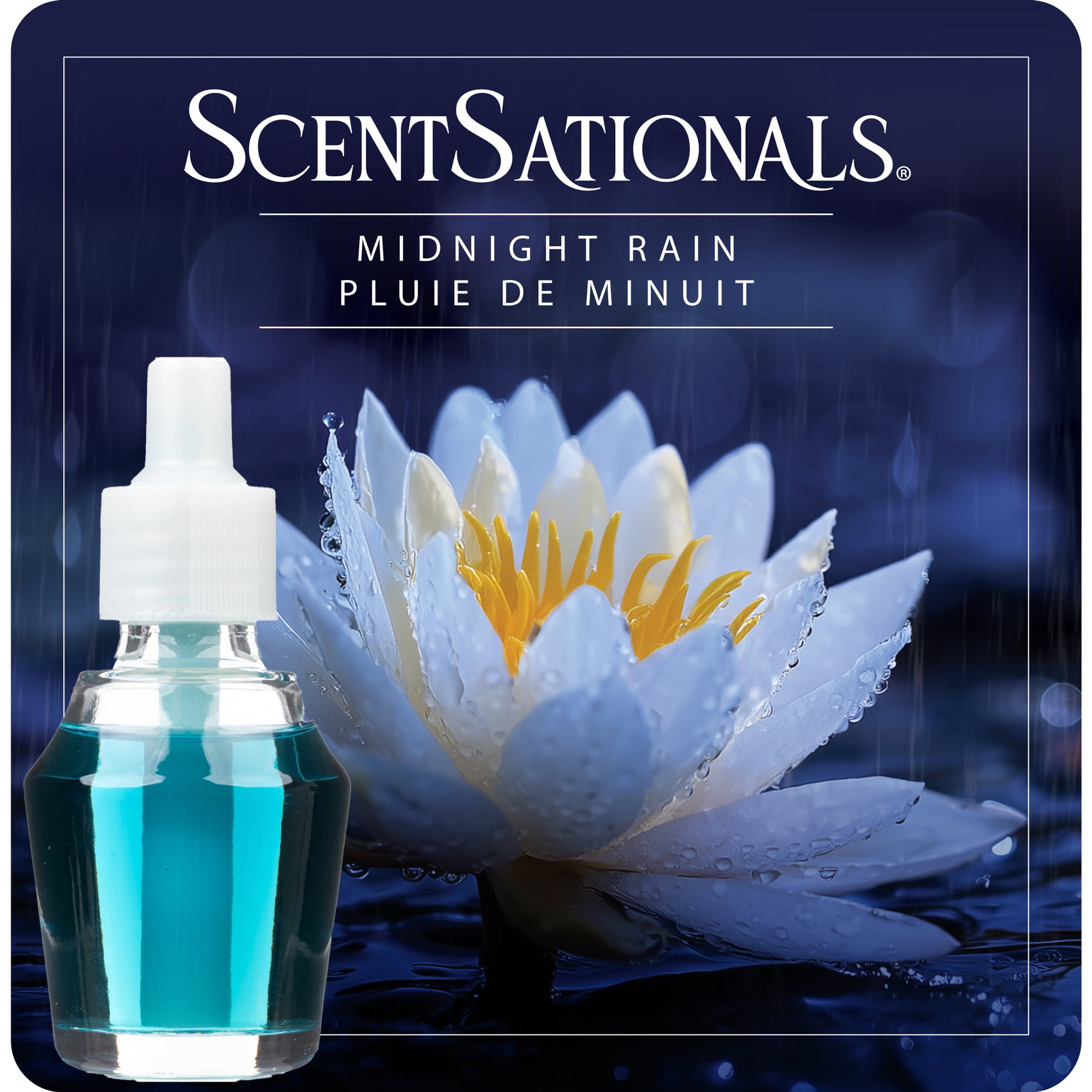 D'huile parfumée Scentsationals - Pluie de minuit