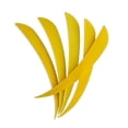 thumbnail image 2 of 12 Pcs Accessoires de Chasse à l'Arc Flèche Plume Cible Fletcher Aile Droite 4 Pouces Jaune, 2 of 9