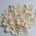 thumbnail image 4 of 500 Pieces Artificial for Wedding Party Decor Assorted Champagne, 4 of 8
