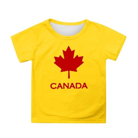 Zecgelong Girls Short Sleeve Tee Summer Crewneck T Shirt Casual Fit Basic Shirts Girls Long Sleeve Tops Size 3-4 Years