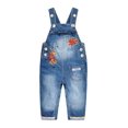 thumbnail image 1 of Kidscool Space Baby Girls Easy Diaper Changing Snap Legs Embroidered Cute Denim Overalls,Blue,9-12 Months, 1 of 6