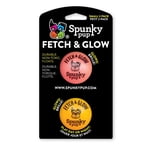 Va chercher. & Balle de Glow Petite 2-Pack Jouets pour chiens