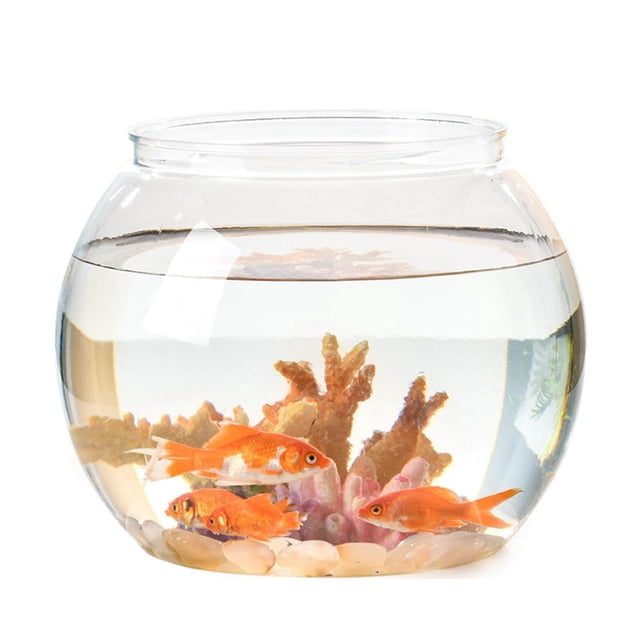 Maoww Aquarium Décoratif pour Poissons, Table 16cmx16cm