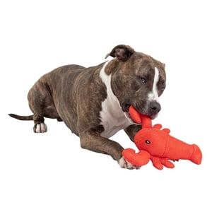 One Paw, Lobster Cooling Dog Toy, Floats In Water, Durable, Plush