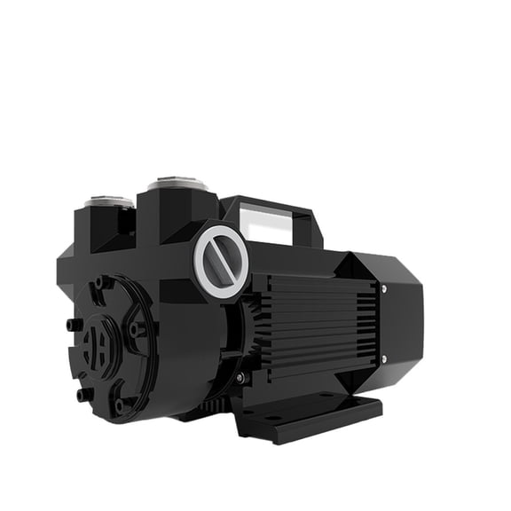12V 24V Gasoline Pump With Explosion-proof System Electric Oil Micro Pump, Diesel Pump 600 W 60l/min Pump Methanol Ethanol ,Easy to Operate