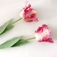 thumbnail image 2 of 1Pc Artificial Flower 68cm 3D Parrot Tulip Real Touch Fake Flower Decor for Home White, 2 of 6