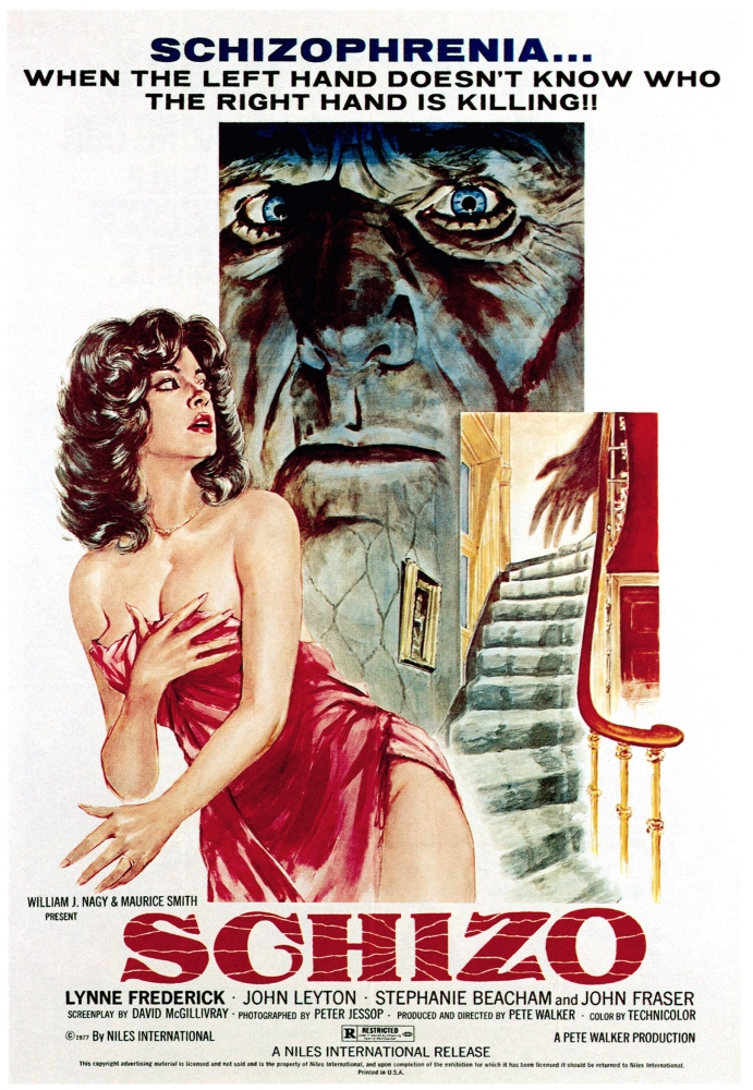 Affiche Schizo 1976 Affiche de Film Masterprint (24 x 36)