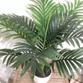 thumbnail image 3 of Palm Potted White, 3 of 3
