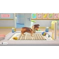 thumbnail image 2 of Jeu vidéo My Universe Pet Clinic Cats & Dogs pour (Nintendo Switch), 2 of 6