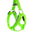 thumbnail image 1 of Dog Pet Led Harness Collar Pet Safety Light up Harness Flashing Night Leash Rope Belt, 1 of 1