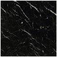 thumbnail image 5 of ACME Telestis Table d'Appoint Carré de 22 Pouces avec Dessus en Marbre, Noir et Or, 5 of 5