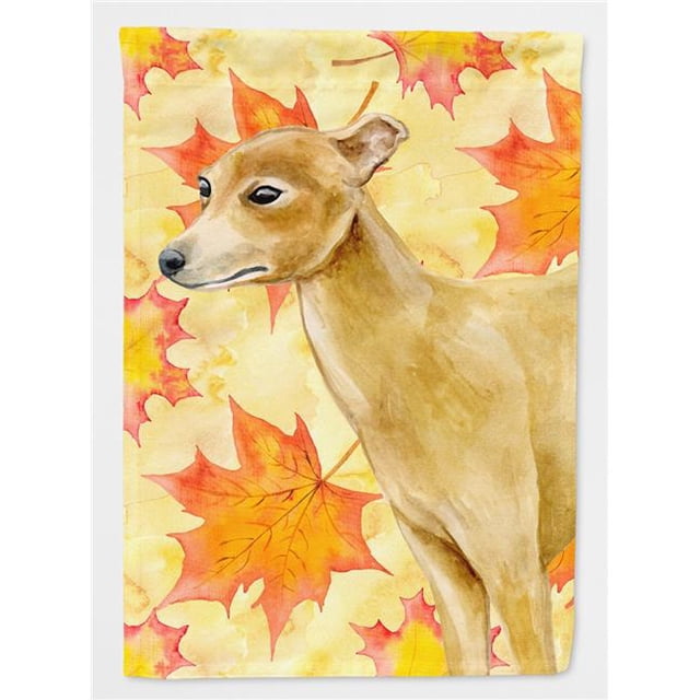 Carolines Treasures BB9959GF Italian Greyhound Drapeau d'Automne - Format Jardin
