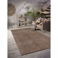 thumbnail image 1 of LaDole Rugs 3x10 ft Fluffy Shaggy Area Runner Rug | Machine Washable Long Carpet For Hallway, Kitchen, Entry Way, Indoor Floor Décor | Taupe, 1 of 1