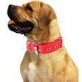 thumbnail image 3 of Heavy Duty Dog Collar with Handle for Medium and Large Dogs – Collar with Reflective Stitches,, 3 of 5