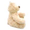 thumbnail image 2 of GUND Philbin The Teddy Ours Plush 12 ", 2 of 2