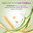 thumbnail image 5 of Inoar P s Progress Duo Kit, Shampooing et Revitalisant pour Soins Post-Traitement, 8,45 Fl Oz Chacun, 5 of 5