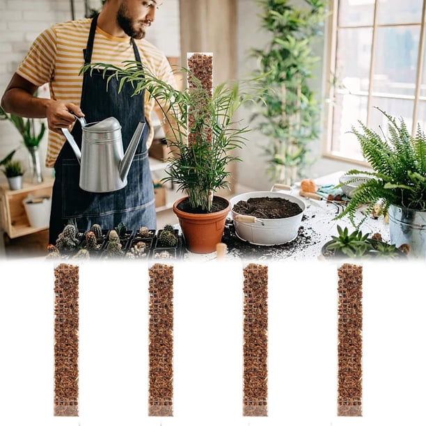pstuiky Plastic Moss Pole 24 Inch 4 Pcs Support for Climbing