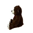 thumbnail image 3 of PLUSH BROWN BEAR, 3 of 5