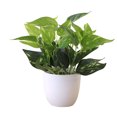 thumbnail image 1 of Artificial Potted Plant Leaf Simulation Leaves Home Office Desktop Greenery Decoration, 1 of 4