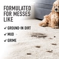 thumbnail image 3 of HOOVER® Prime Professional Cleaning Formula UDC, 3 of 10