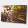 thumbnail image 2 of Balade à Vélo dans la Forêt d'Automne - Impression d'Art sur Toile Paysage, 2 of 4