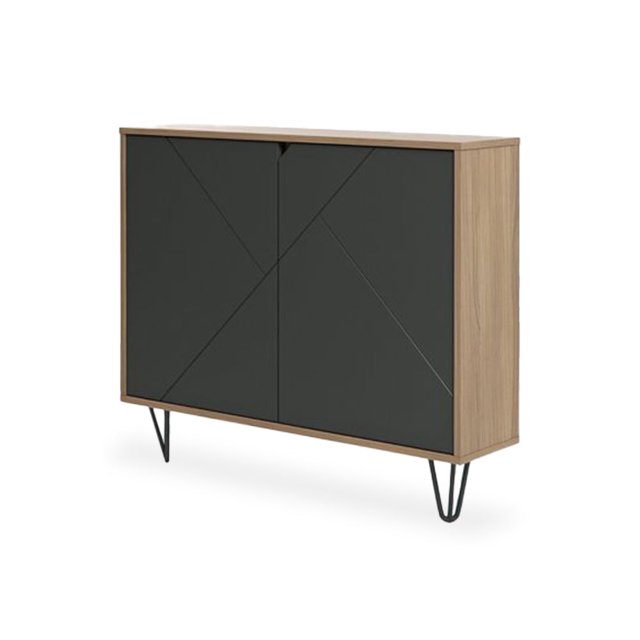Armoire de Rangement Mince à 2 Portes (Muscat et Charbon)