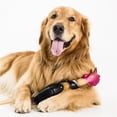 thumbnail image 4 of Latex Chicken Dog Toy, 4 of 5