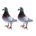 thumbnail image 1 of Langgg Simulation Foam Model Party Favors 2pcs Bird Foam Gifts Artificial Easter 2 pcs Style A, 1 of 4