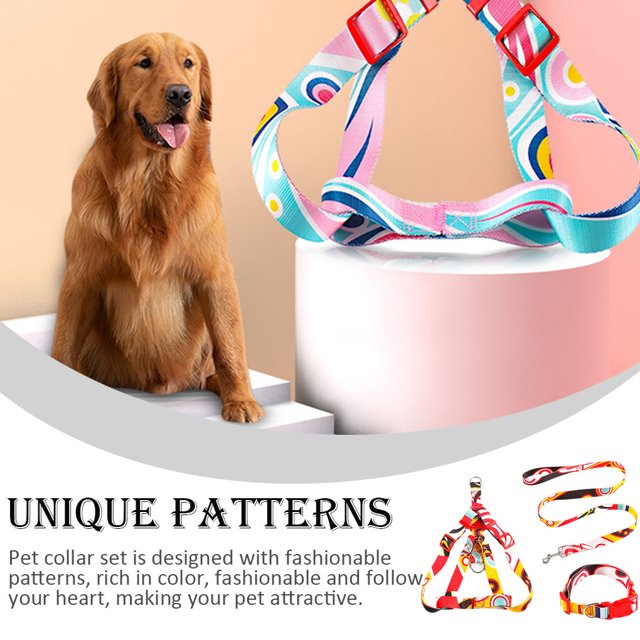 3Pcs/Set Laisse en Alliage de Zinc Impression Réglable Moyen Extérieur Décoratif Harnais Lavable Accessoires pour Animaux Rouge, 1x120cm S