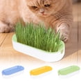 thumbnail image 1 of Cat Grass Planter, Hydroponic Planter, Hydroponic Grass Planter, Self Watering Cat Grass Planting Container Soilless Pots Window Planting Box Hydroponic Planter Nursery Planting Pots Growing Products, 1 of 6