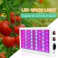 thumbnail image 4 of Amdohai 1000W LED Grow Light for Indoor Plants 216 LEDs Full, 4 of 7