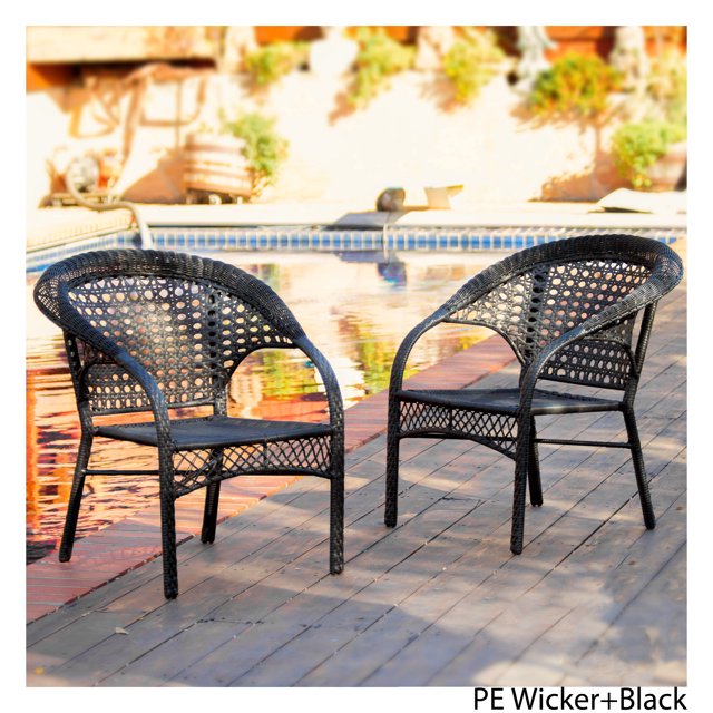 Ketchum Black Wicker Fan Back Outdoor Club Chairs (Set of 2)