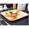 thumbnail image 4 of Sqaure Dinner, Salad Dessert Plate|Bio Mart Areca Palm Leaf Plate|Natural Eco-friendly Heavy Duty Re-usable Compostable Disposable Biodegradable Party, Wedding, BBQ & Catering |Pack of 10, 50 or 100, 4 of 4