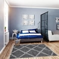 thumbnail image 1 of ECARPET Super Soft for Living Room & Bedroom Grammercy Stark Dark Grey Shag, 1 of 9