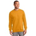 thumbnail image 1 of Port & Company Chandail en Molleton en Molleton Essentiel pour Hommes PC90, 1 of 1