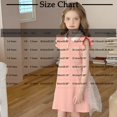 thumbnail image 2 of LOVZFMLL Girls' Summer Short Sleeve Ruffled Lace Round-Neck Embroidery Mesh Princess Bow Skirt, 2 of 4
