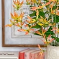 thumbnail image 4 of HJADGG Bulbes de Rothschildiana Gloriosa (Lys de Feu/lys en Flammes) - Vigne Grimpante Exotique Fleur 8 Pcs / 20 Pcs Floraisons Rouges et Jaunes Vibrantes pour Jardin et Contenants (Orangey Rose,8), 4 of 6