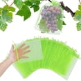 thumbnail image 4 of PRETXORVE 40 Pcs Sac de Plantation en Filet de Protection pour Fruits et Résistant, 4 of 9