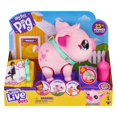 thumbnail image 1 of Little Live Pets - My Pet Pig, 1 of 6