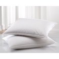 thumbnail image 1 of Luxurious Down and Feather Pillow - 2 Pack - Two Pack, 1 of 3