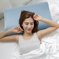 thumbnail image 1 of Antibacterial Waterproof Pillowcase, Memory Foam Emulsion Pillow Cover, Breathable Washable Pillow Protector for Home Dormitory, 1 of 6