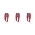 thumbnail image 2 of relayinert Stay Warm And Look Fabulous In Winter Pants For Women Stylish Winter Wardrobe Winered M 3Set, 2 of 6