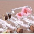 thumbnail image 3 of MasteelfCA 50pcs Mini Glass Bottles Jars with Cork Wish Note Craft Bottle (Clear), 3 of 7