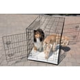 thumbnail image 2 of 30" Wire 2 Door Dog Pet Crate With Mat, 2 of 3