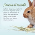thumbnail image 4 of Living World Timothy Hay for Small Animals 1.36 kg, 4 of 9