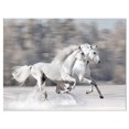 thumbnail image 1 of Designart Two White Horse Canvas Wall Art, 1 of 4