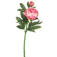 thumbnail image 1 of Vickerman FA174803 Pivoine X2 Tige Florale Rose, 1 of 3